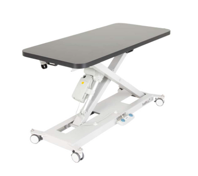 Interaktiv Health we supply and manufacture electrically height adjustable treatment and consultation tables for the Veterinary surgery.