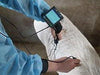 Kaixin MSU3 Vet Digital Mechanical Sector Ultrasound - InterAktiv Health
