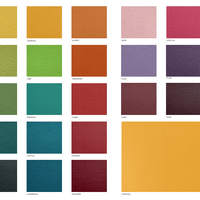 Standard Vinyl Upholstery colours for Healthtec Junior Change Table 