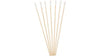 Jumbo Swab Sticks- Single-ended Box 200 - InterAktiv Health