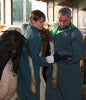 Kaixin KX5200V Veterinary Ultrasound - InterAktiv Health