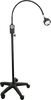 PML2 LED Examination Lamps on Mobile Base - InterAktiv Health