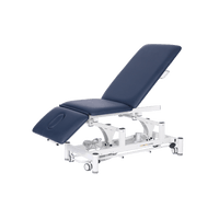 Pacific 3 section Electric Physio Bed with Surround Bar