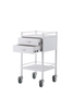 Pacific 2 Drawer Powder Coated Dressing Trolley