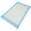 Pacific 40cmx 60cm underpad liners carton 300