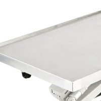 InterAktiv Electric Veterinary Examination Table with Weighing Scales