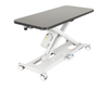 InterAktiv Veterinary Electric Height Adjustable Consult Table