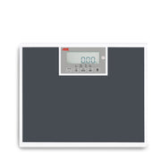 ADE M320600 Electronic floor scale with BMI - InterAktiv Health