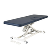 Healthtec Lynx M1 Cardiology Bed - InterAktiv Health