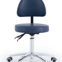 Pacific Round Top Gas Lift Stool with Back Rest - InterAktiv Health