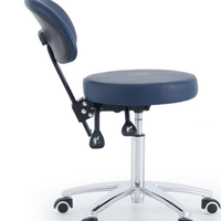 Pacific Round Top Gas Lift Stool with Back Rest - InterAktiv Health