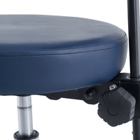 Pacific Round Top Gas Lift Stool with Back Rest - InterAktiv Health