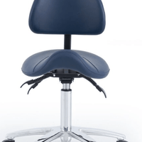 Pacific Saddle Stool with Back Rest - InterAktiv Health