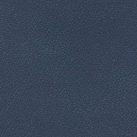 Navy Blue Uphostery colour for pacific Medical 3 section all electric examination couch
