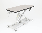 InterAktiv Veterinary Height Adjustable Consult Table with Weighing Scales - InterAktiv Health