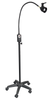 PML1 LED Examination Lamps on Mobile Base- Black - InterAktiv Health