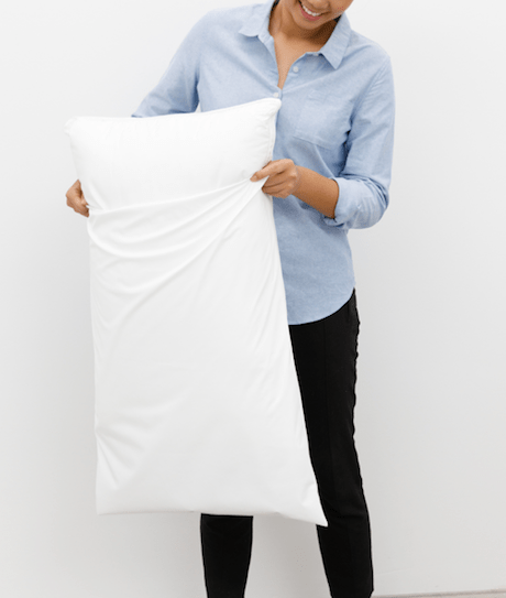 Purifas PillowGuard Reusable - InterAktiv Health